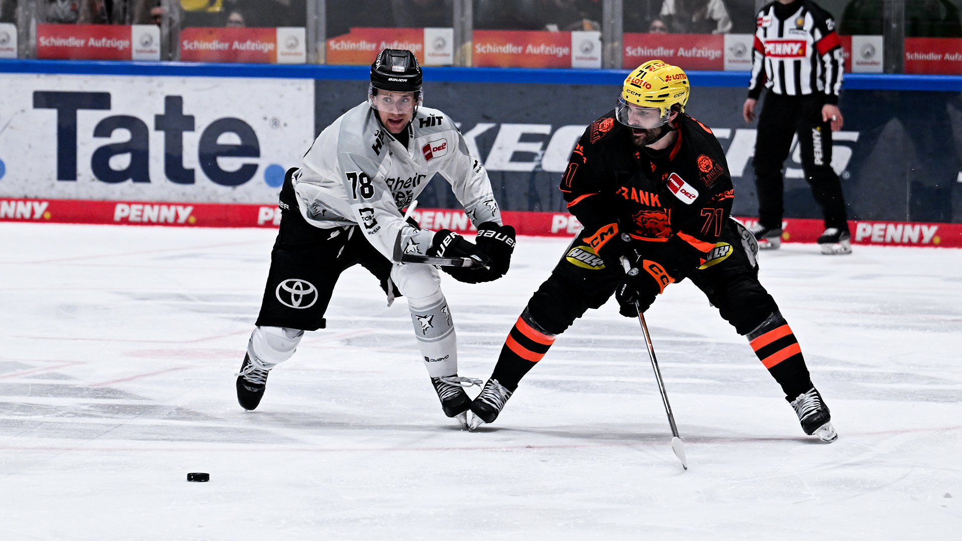 Löwen Frankfurt gg. Kölner Haie